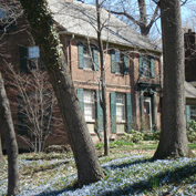 Sample Image from Heights Observer Galleries