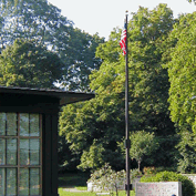 Sample Image from LO Galleries