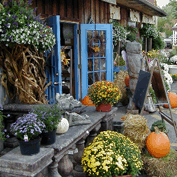 Sample Image from LO Galleries